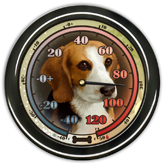 Beagle Thermometer example